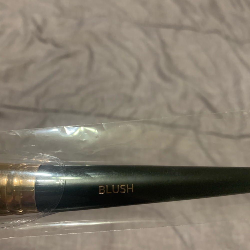 Brand new Blush brush
